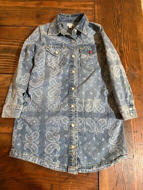 Gymboree Blue Paisley Denim Shirt Dress